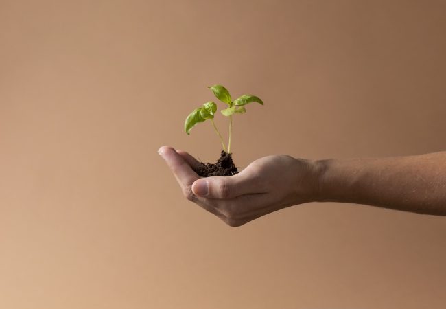 growing-life-concept-with-flowers