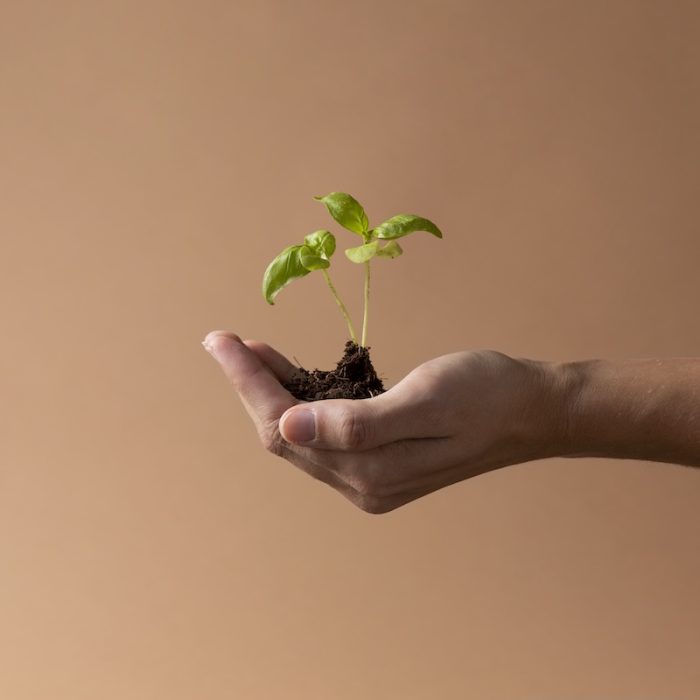 growing-life-concept-with-flowers